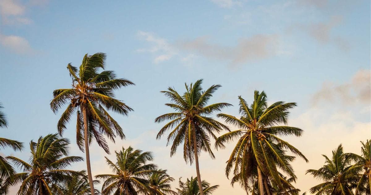 Rental Yields in South India 2026: Which City and Locality Gives You the Best Returns?
